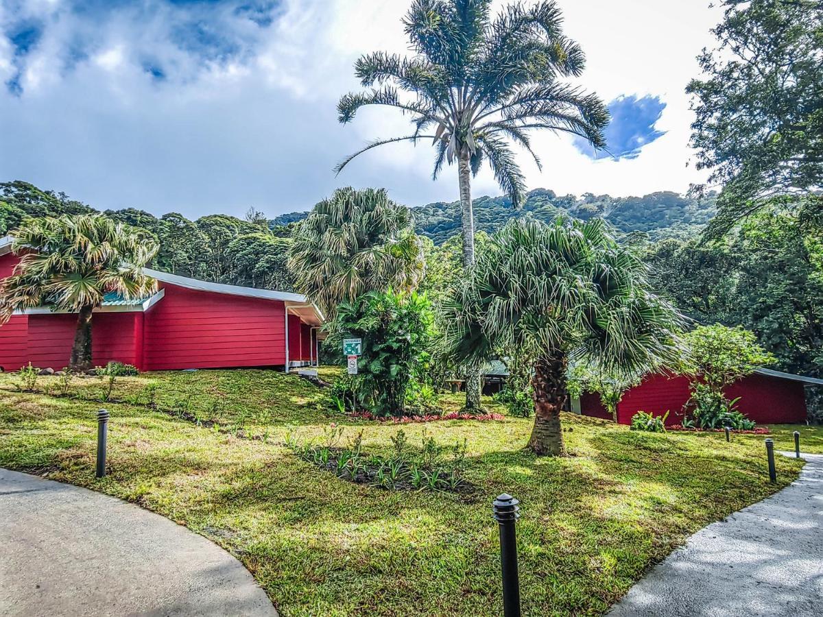 Cloud Forest Lodge By Boeena Monteverde Exteriér fotografie