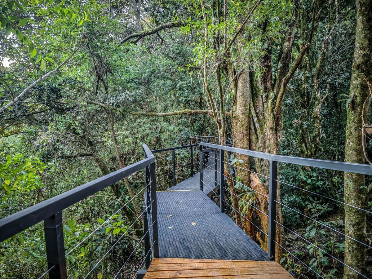 Cloud Forest Lodge By Boeena Monteverde Exteriér fotografie